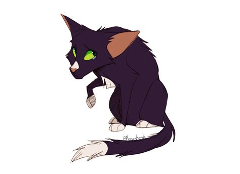 Ravenpaw Warrior Cat Designs