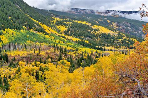 Stunning Independence Pass: Scenic Drive Through The Heart Of Colorado ...