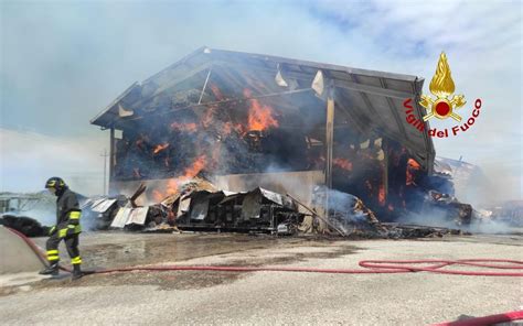 Incendio In Una Azienda Agricola A Pernumia Sono Morti Alcuni Vitelli