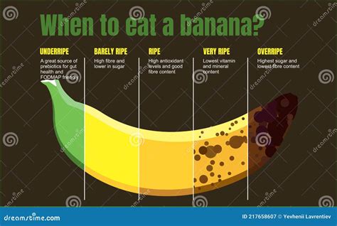 Banana Ripeness Stages Infographics Chart. Bunch Of Bananas Colour Gradation Set. Ripening ...