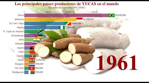 Cu Les Son Los Pa Ses Principales Productores De Mandioca