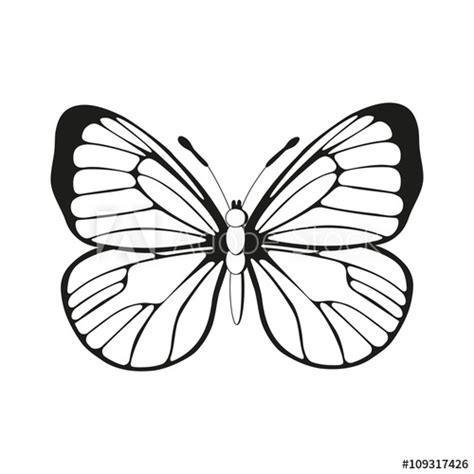 Butterfly Wings Vector At Vectorified Collection Of Butterfly