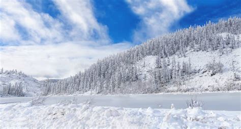 Montes Bonitos Do Taiga Em Extremo Oriente De Rússia Ao Princípio De