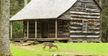 Las Inquilinas de Netherfield RESEÑA by MB UN AÑO EN LOS BOSQUES