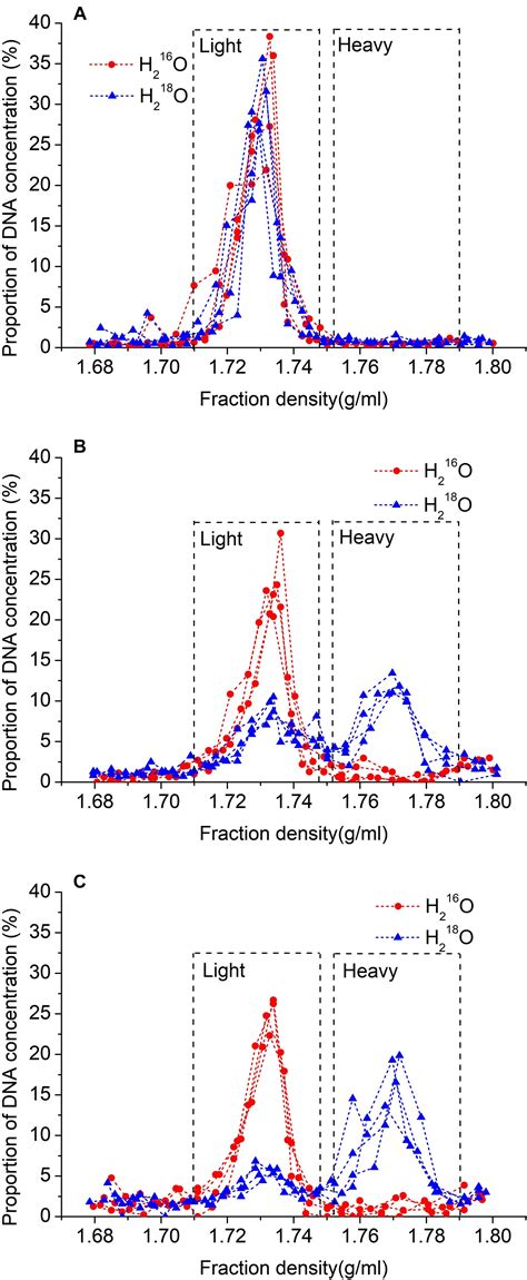 Frontiers Decomposition Of Microbial Necromass Is Divergent At The