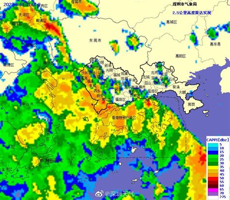 深圳全市雷电预警分区雷雨大风黄色预警生效中！未来一周天气关键词：雨雨雨手机新浪网