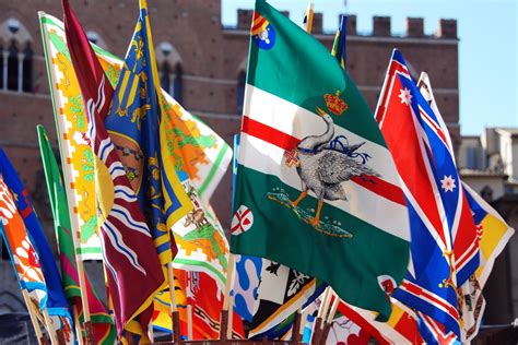 Dove Vedere Il Palio Di Siena In Tv E In Streaming