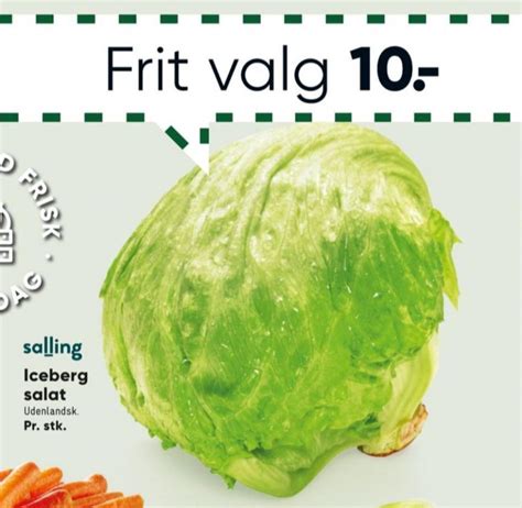 Salling Icebergsalat Bilka Marts 2023 Alle Tilbudsavis