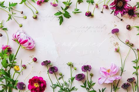 Iss Summer Backgrounds 3 Inspired Stock Shop