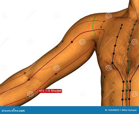 Selection Of Acupoints For Managing Upper Extremity 57 OFF