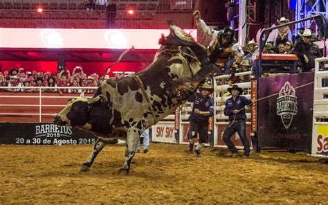 Fotos Confira Noite Do Rodeio Internacional Em Barretos Fotos Em