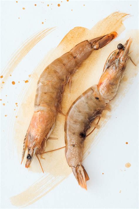 Diferencias GAMBÓN y LANGOSTINO Mariscos Gallego