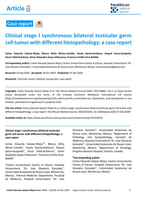 Pdf Clinical Stage I Synchronous Bilateral Testicular Germ Cell Tumor