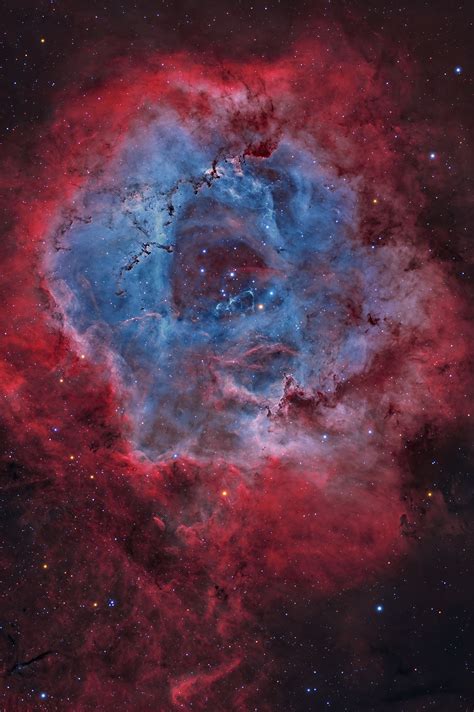 Ngc 2244 Rosette Nebula Natural Palette Astrophotomannheim