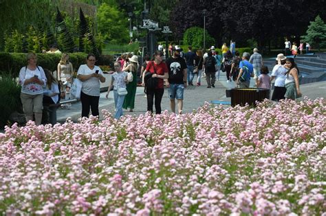 Peste 100 000 De Vizitatori La West Side Flower Fest Cel Mai Mare