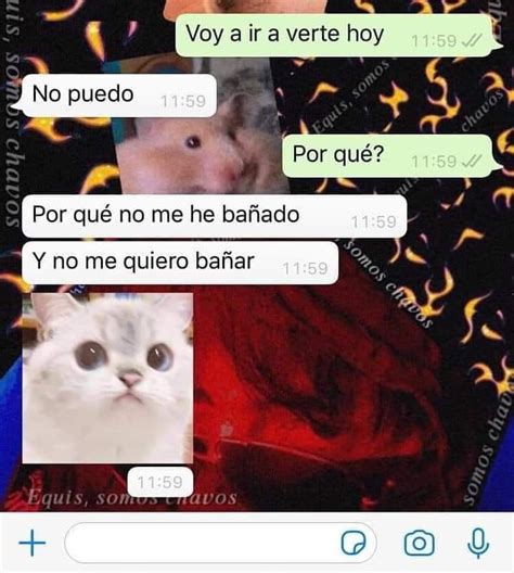 Pin de jerrymi s en Funny en 2021 No me quiero bañar Bane