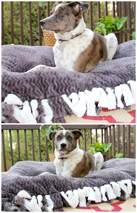 No Sew Dog Bed – Miss Frugal Mommy