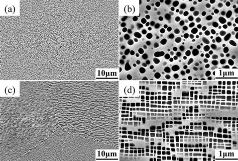 Typical Microstructures Of The Alloys A B A1 And C D A2 After