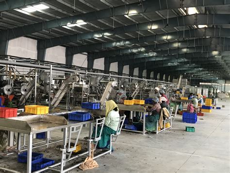 New Modern Automatic Cashew Processing Plant Vn Viet Nam Cashew