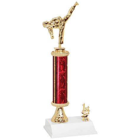 Female Martial Arts Trophy – Awards by Trophy City