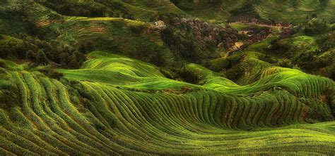 Nature Landscape Mountain Field Terraces Sunlight Road Trees Village