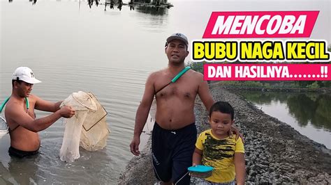 Mencoba Bubu Naga Kecil Dan Hasilnya Diluar Dugaan Perangkap