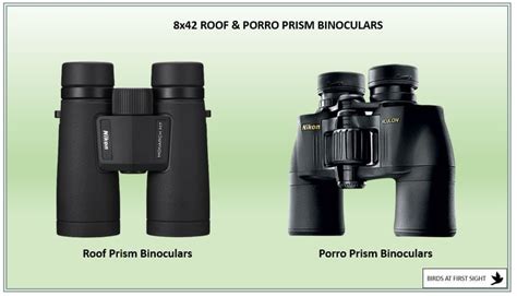 Roof Prism Vs Porro Prism Binoculars 18 Big Differences