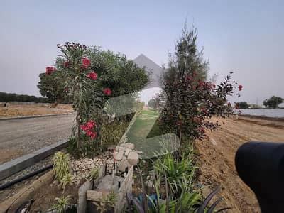 Prime Location Square Yards Residential Plot In Karachi Is