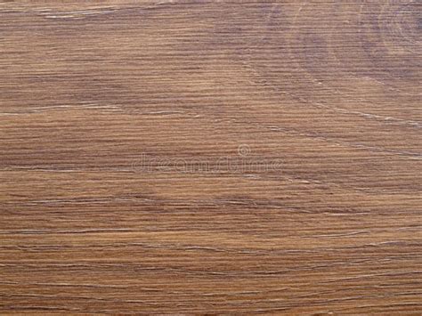 Oak Floor Texture Stock Photo Image Of Design Natural 151096852