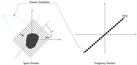 2 This Process Highlights How The One Dimensional Projections Produced