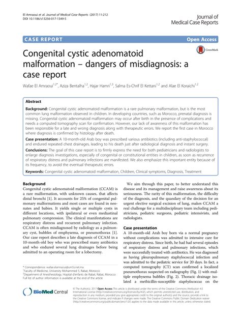 Pdf Congenital Cystic Adenomatoid Malformation Dangers Of Misdiagnosis A Case Report