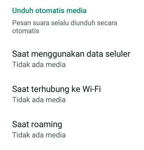 Cara Menghemat Kuota Internet Whatsapp Agar Tidak Boros Milsmilo Blog