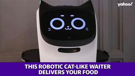 Cat Robot Delivers Food To Tables In Moscow Restaurant Youtube