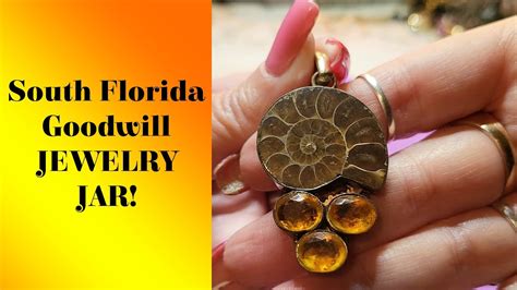 Another Awesome South Florida Goodwill Jewelry Jar Youtube