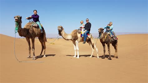 A desert camel ride but did we do the right thing? - Journey of a ...