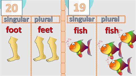 20 Irregular Plurals Of English Nouns Check If You Know Them All