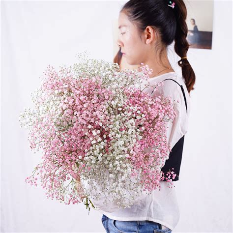 Natural Dried Preserved Gypsophila Breath Babys Bouquet Babies Breath