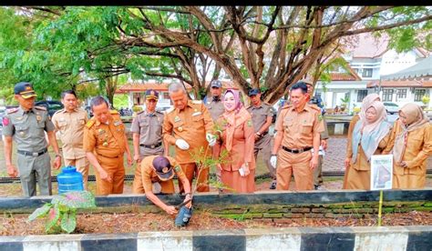 Peringati Hari Lingkungan Hidup Sedunia Bupati Luwu Dan Jajaran