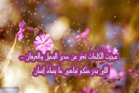 صور شكر وتقدير , عبارات شكر وعرفان للأصدقاء Check more at https://pic-hd.com/images-thanks ...