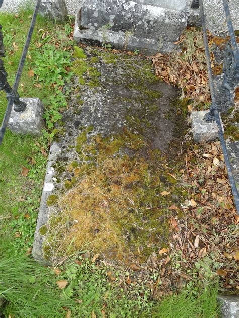 Co Smdo 0100 Historic Graves