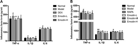 Levels Of Tnf α Il 1β And Il 6 Pg Ml In The Bronchoalveolar Lavage