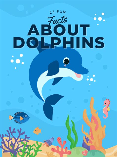 23 Weird Facts About Dolphins