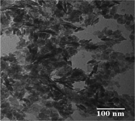 Optical Morphological And Biological Analysis Of Zinc Oxide