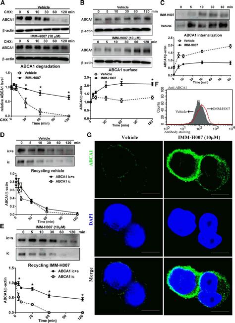 Inhibition Of Abca1 Protein Degradation Promotes Hdl Cholesterol Efflux