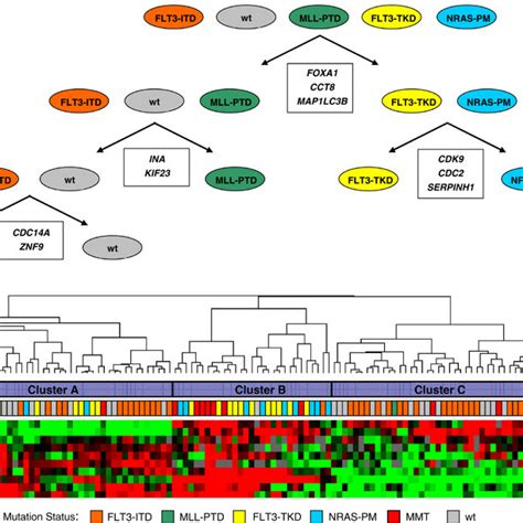 Identification Of A Gene Signature By Neural Network Analysis That