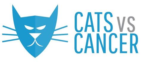 Fighting Cancer With Cat Videos The Unique Mission Of Cats Vs Cancer Cattime