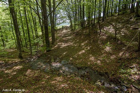 Trekking In Pratomagno Le Tre Fonti Rifugio Di Buite Poggio