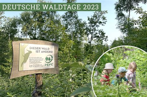 Deutsche Waldtage 2023 Gemeinsam Mit Euch Landgut Kemper Schlomski