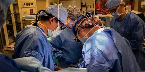 Solid Organ Transplant Program Continues To Achieve Superior Outcomes