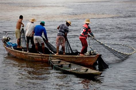 MPF pede à Justiça Federal para suspender restrição de pesca e